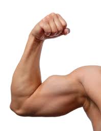 Let your sales strategy flex its muscles