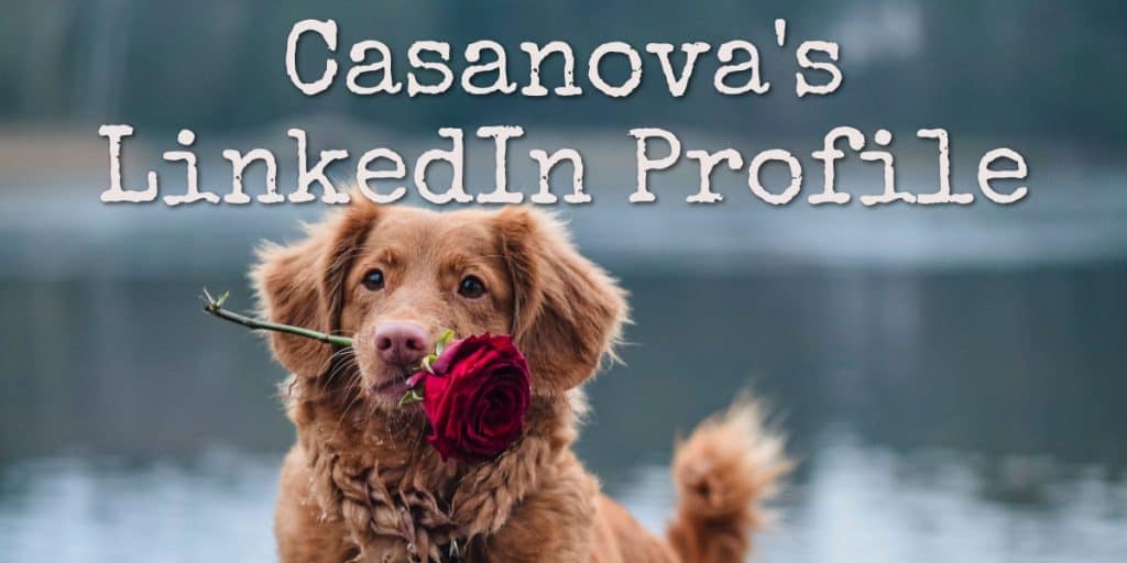 Casanova's LinkedIn Profile