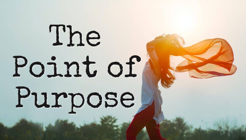 The point of purpose
